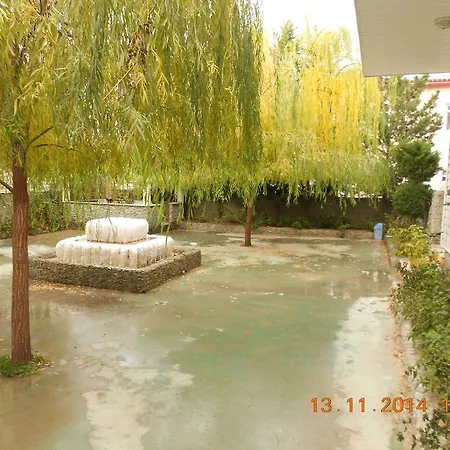 Yasar